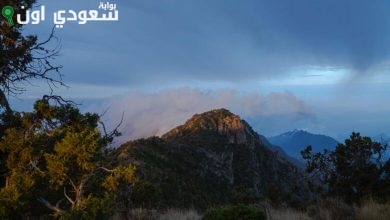 الأجواء في عسير والباحه