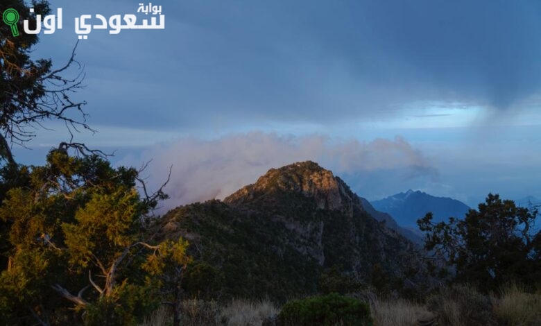الأجواء في عسير والباحه