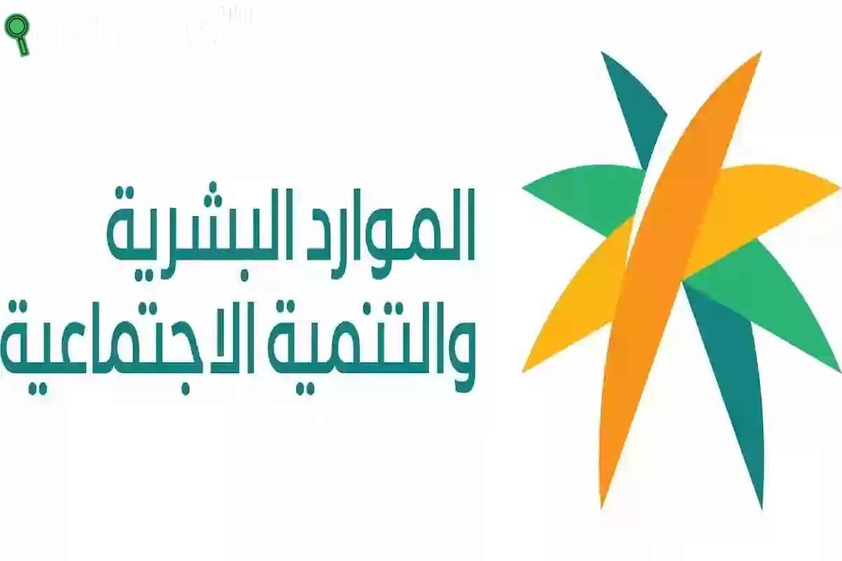 أسعار الدواجن اليوم في مصر