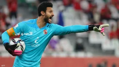 محمد الشناوي