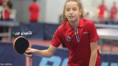 جودة معجزة تنس الطاولة