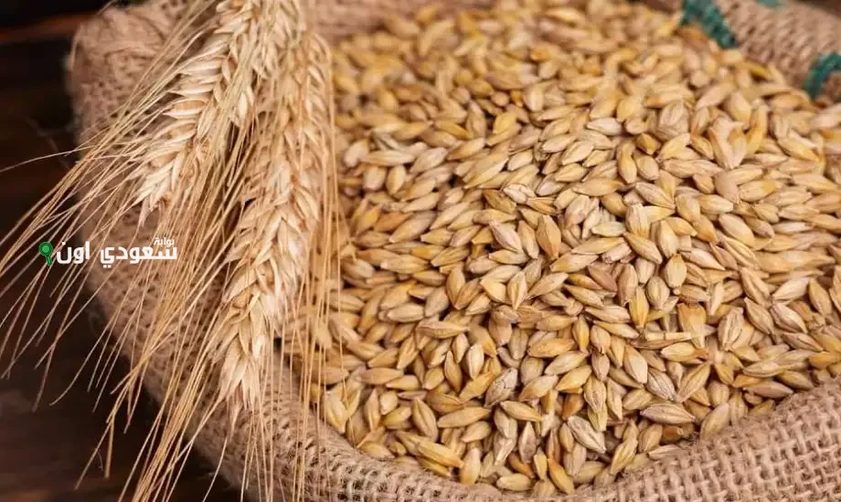 سعر الأرز الشعير في السوق المحلي اليوم