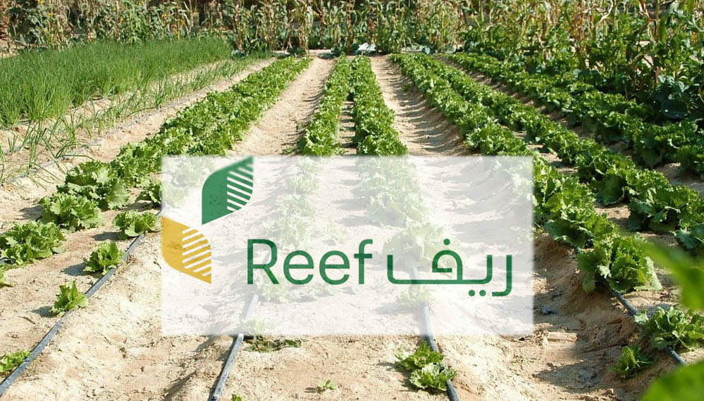 طريقة التسجيل في دعم ريف 