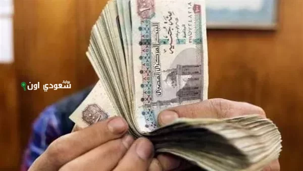 تعليمات هامة لأولياء الأمور قبل تقديم الصف الأول الابتدائي 2025 في مصر