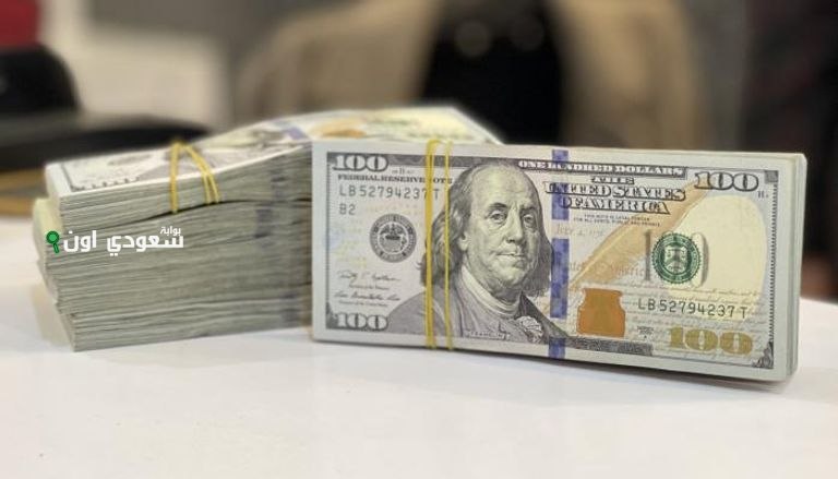 استقرار سعر الدولار اليوم السبت