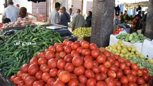أسعار الخضراوات اليوم