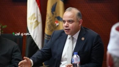 الهيئة العامة للرقابة المالية تعلن القائمة السلبية للجهات المخالفة للقوانين المالية غير المصرفية