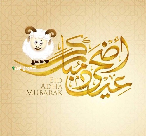 موعد إجازة عيد الأضحى 1446 في السعودية للقطاع الحكومي