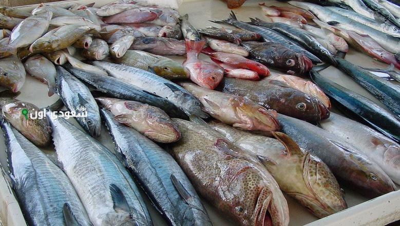 أسعار الأسماك اليوم في مصر