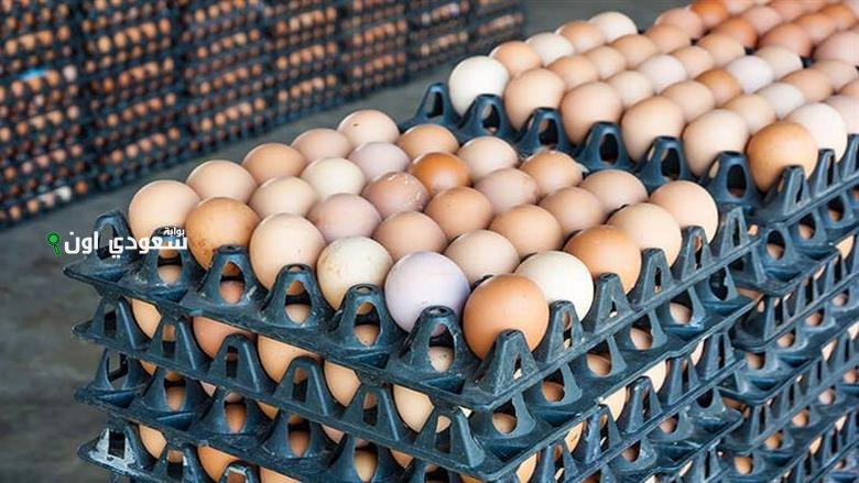 سعر كرتونة البيض اليوم