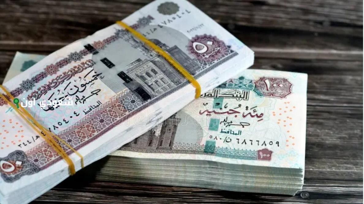 موعد زيادة رواتب المعاشات في مصر
