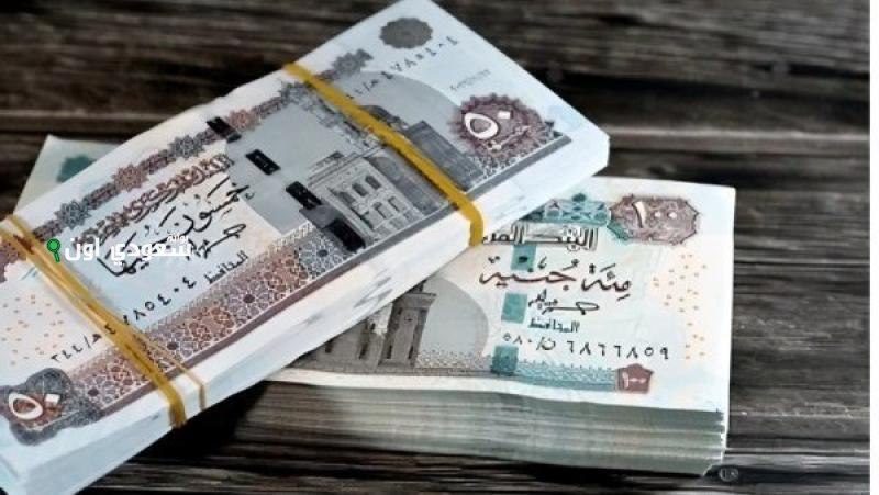 موعد تطبيق الحد الأدنى للأجور للعاملين بالقطاع الخاص