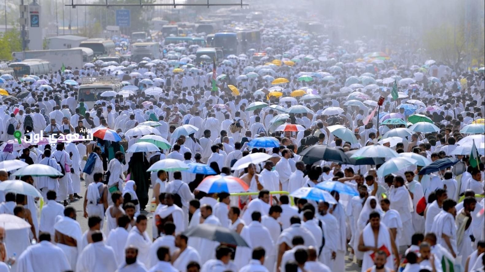 الأرصاد السعودية تحذر الحرارة ستتجاوز 50 درجة في هذه المناطق