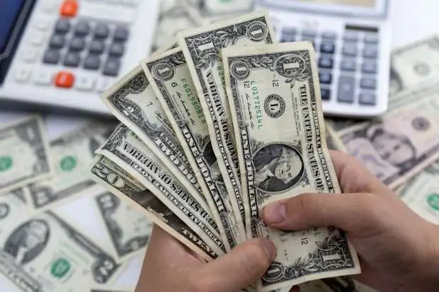 أسعار الكتاكيت اليوم في بورصة الدواجن
