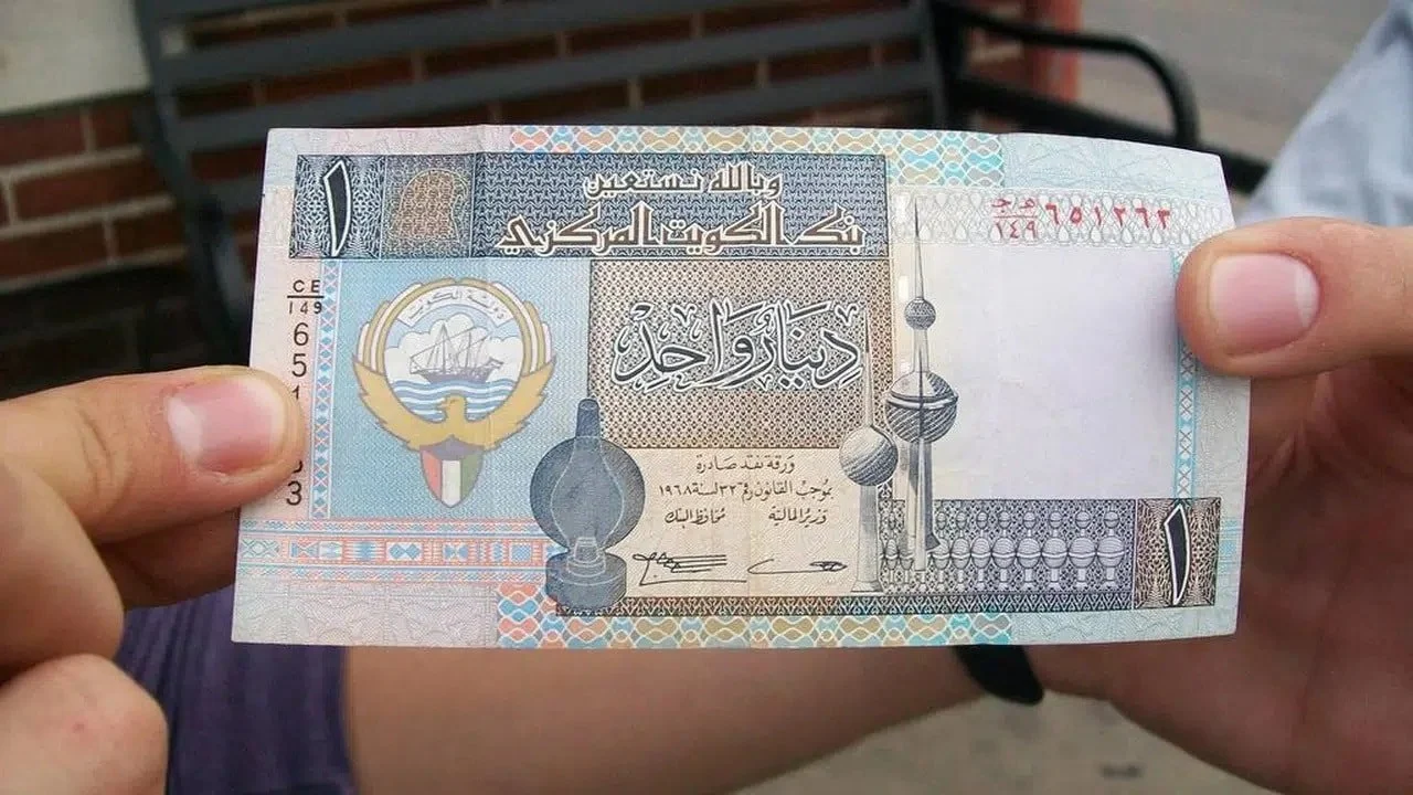 أسعار الدواجن في الأسواق المصرية اليوم