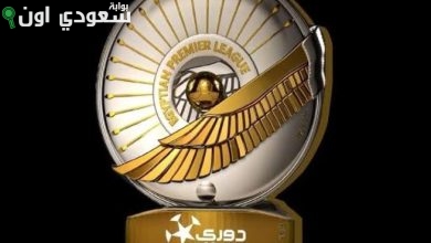 الدوري المصري
