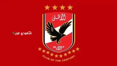 شركة الأهلي لكرة القدم