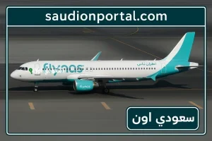 طيران ناس