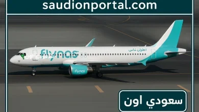 طيران ناس