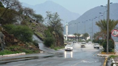 أمطار غزيرة وسيول تضرب الباحة