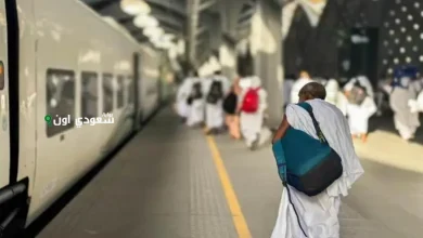 قطار الحرمين السريع يقدم 140 رحلة يوميًا لنقل الحجاج
