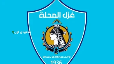 غزل المحلة