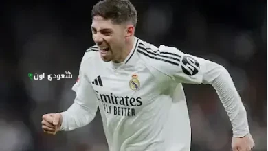 فيدي فالفيردي