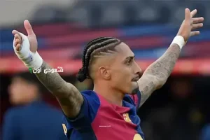 رافينيا