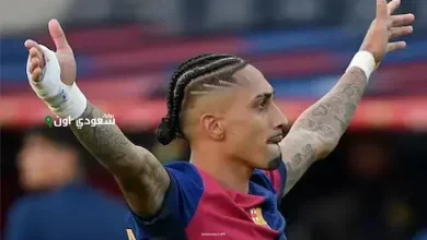 رافينيا