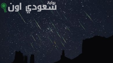 زخة شهب إيتا الدالويات بتزين سماء المملكة