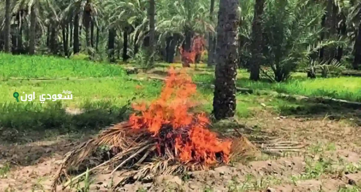 ضبط مُخالف حرق الغطاء