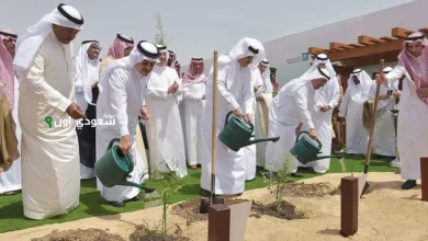 زراعة 20 مليون شجرة في الرياض