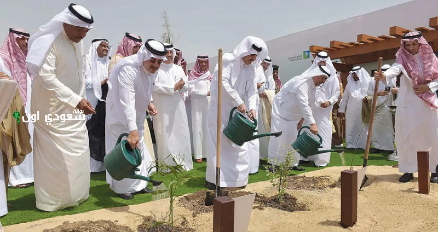 زراعة 20 مليون شجرة في الرياض