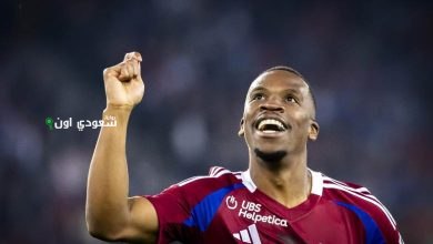 ديريك كوتيسا