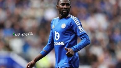 ويلفريد نديدي