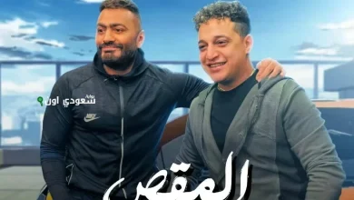 تامر حسني ورضا البحراوي