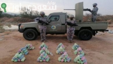 القبض على 9 يمنيين بجازان مهربين 180 كيلو قات بالدائر