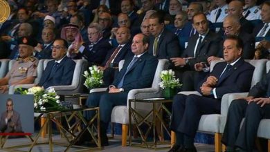 السيسي يكرم الصنايعية