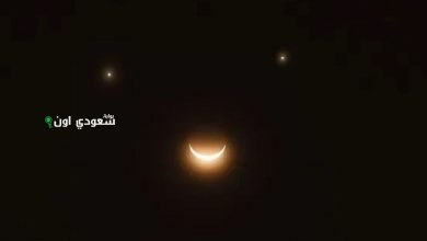 ابتسامة سماوية