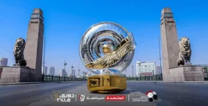 أندية مجموعة الهبوط بالدوري المصري