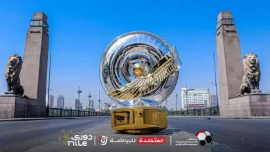 أندية مجموعة الهبوط بالدوري المصري