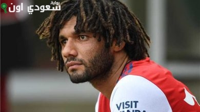 محمد النني