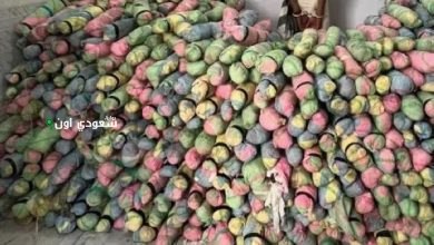 إحباط محاولة تهريب 308 كجم من القات في جازان