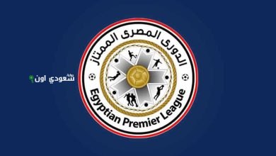 الدوري المصري
