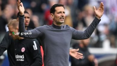دينو توبمولر