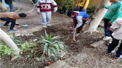 طلاب المدارس يساهمون في مشروع زراعة الأشجار بحديقة السديم