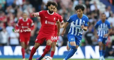 برايتون وليفربول