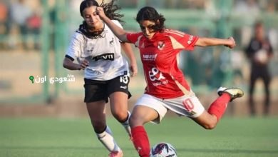 دوري الكرة النسائية