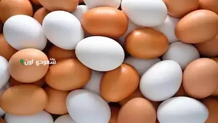 انخفاض كبير في أسعار