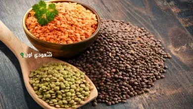 أسعار العدس والمكرونة اليوم